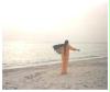 Ein Tag am Meer/Photo/Amrei Cordula
